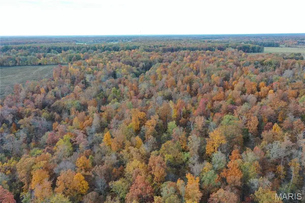 $59,000 | 3 Bobwhite Lane, Fairdealing, MO 63939