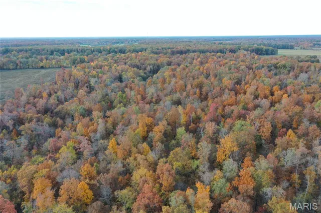 $59,000 | 3 Bobwhite Lane, Fairdealing, MO 63939