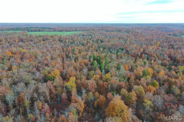 $59,000 | 3 Bobwhite Lane, Fairdealing, MO 63939