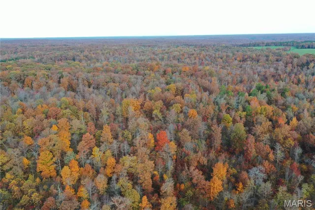 $59,000 | 3 Bobwhite Lane, Fairdealing, MO 63939