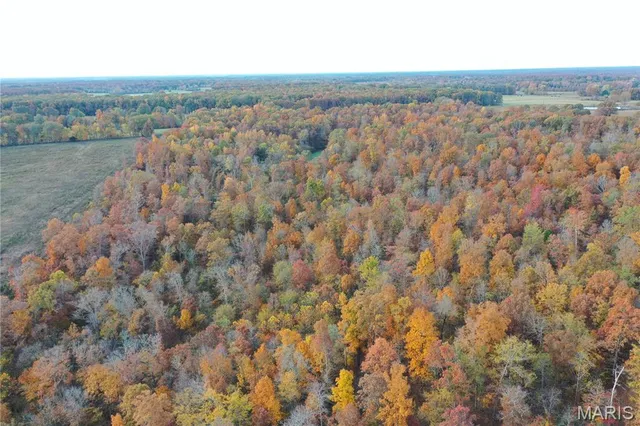 $59,000 | 3 Bobwhite Lane, Fairdealing, MO 63939