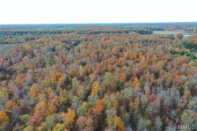 $59,000 | 3 Bobwhite Lane, Fairdealing, MO 63939