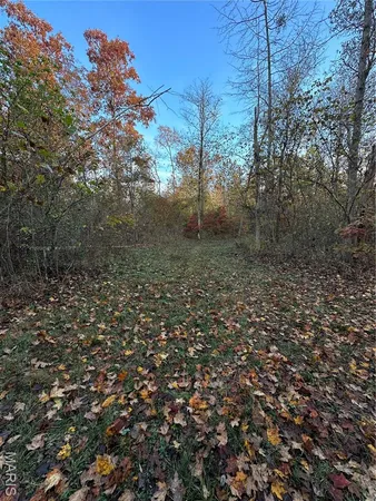 $59,000 | 3 Bobwhite Lane, Fairdealing, MO 63939