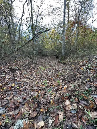 $59,000 | 3 Bobwhite Lane, Fairdealing, MO 63939