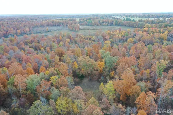 $59,000 | 3 Bobwhite Lane, Fairdealing, MO 63939