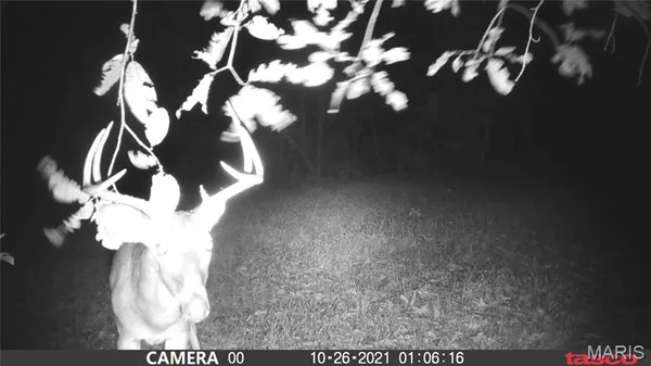 $59,000 | 3 Bobwhite Lane, Fairdealing, MO 63939