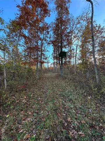 $59,000 | 3 Bobwhite Lane, Fairdealing, MO 63939