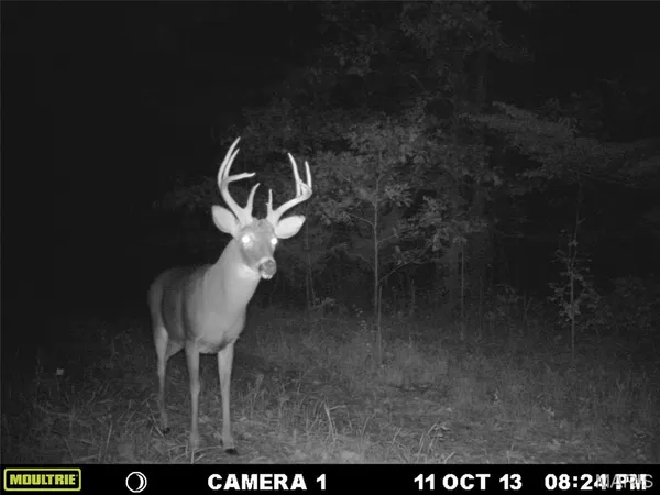 $59,000 | 3 Bobwhite Lane, Fairdealing, MO 63939