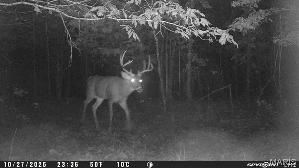 $59,000 | 3 Bobwhite Lane, Fairdealing, MO 63939