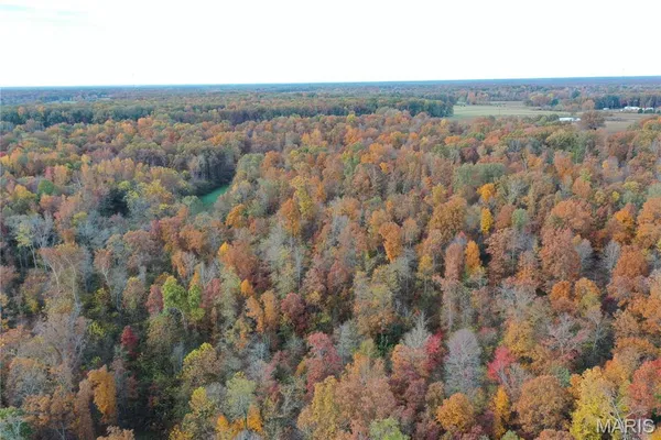 $59,000 | 3 Bobwhite Lane, Fairdealing, MO 63939