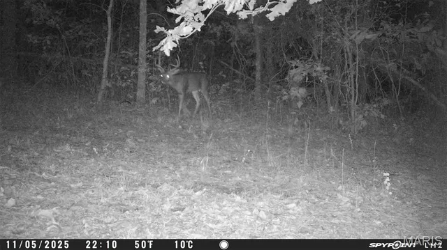 $59,000 | 3 Bobwhite Lane, Fairdealing, MO 63939