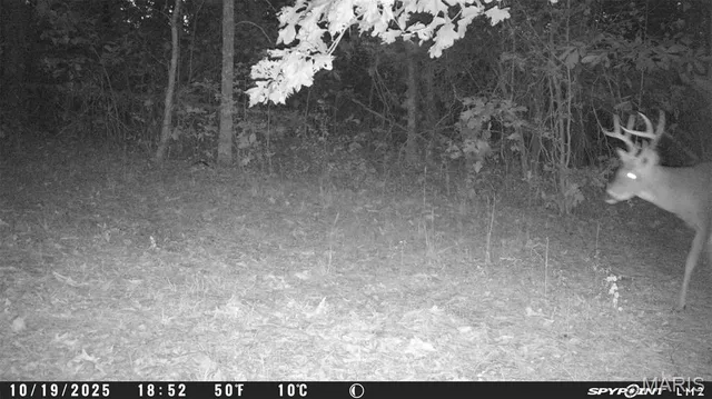 $59,000 | 3 Bobwhite Lane, Fairdealing, MO 63939