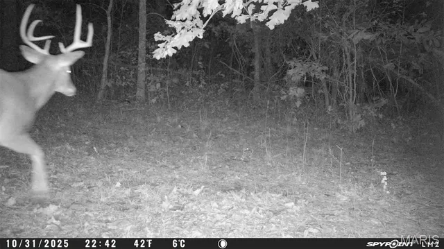 $59,000 | 3 Bobwhite Lane, Fairdealing, MO 63939