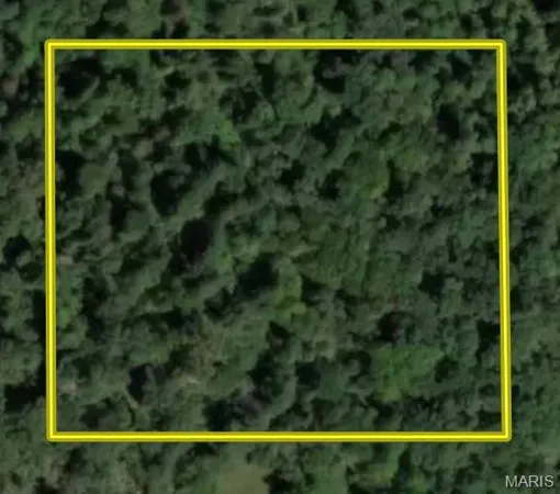 $59,000 | 3 Bobwhite Lane, Fairdealing, MO 63939