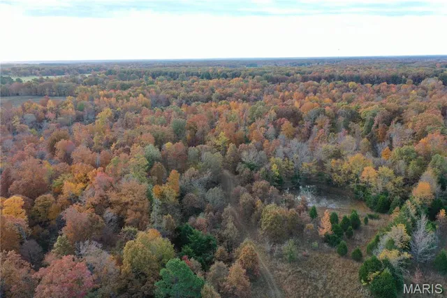 $59,000 | 3 Bobwhite Lane, Fairdealing, MO 63939