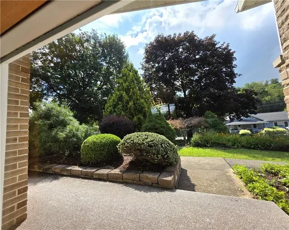 a view of a garden with a bench in the background
