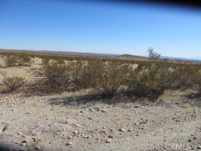 9004 Craig Edwards, CA 93523 - Photo 6 of 7 a view of a yard with a mountain
