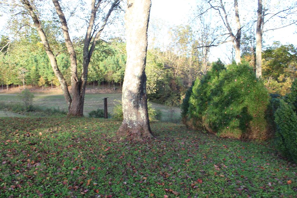 2714 Mill House Road Woolwine, VA 24185 - Photo 4 of 31 Gallery Image 4