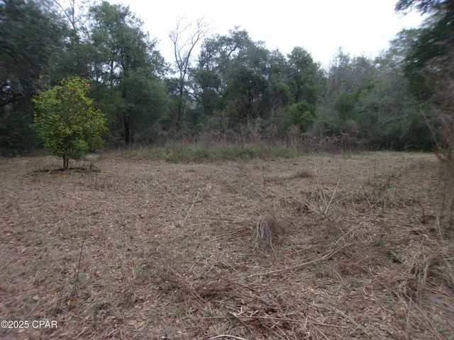 $44,900 | 1724 Highway 173 Bonifay, Bonifay, FL 32425