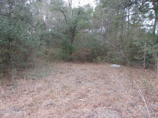 $44,900 | 1724 Highway 173 Bonifay, Bonifay, FL 32425