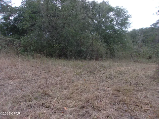 $44,900 | 1724 Highway 173 Bonifay, Bonifay, FL 32425