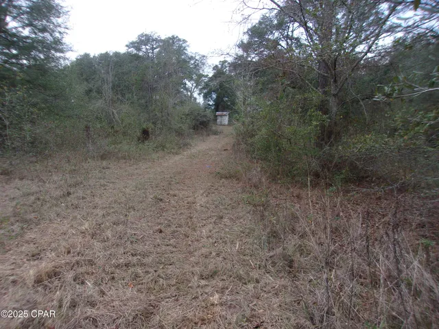 $44,900 | 1724 Highway 173 Bonifay, Bonifay, FL 32425