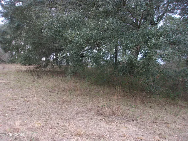 $44,900 | 1724 Highway 173 Bonifay, Bonifay, FL 32425