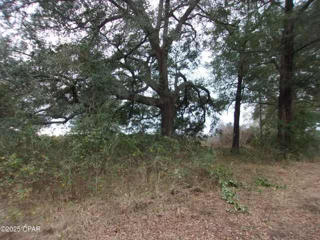 $44,900 | 1724 Highway 173 Bonifay, Bonifay, FL 32425
