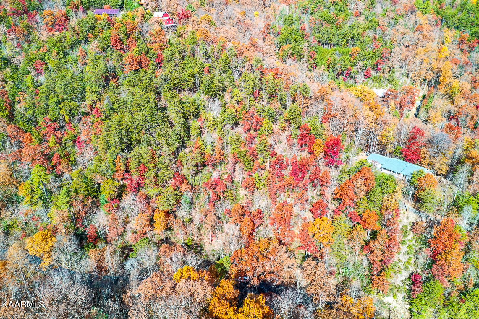 Hatcher Mtn Rd Road Sevierville, TN 37862 - Photo 4 of 18 Dsc_4538-1