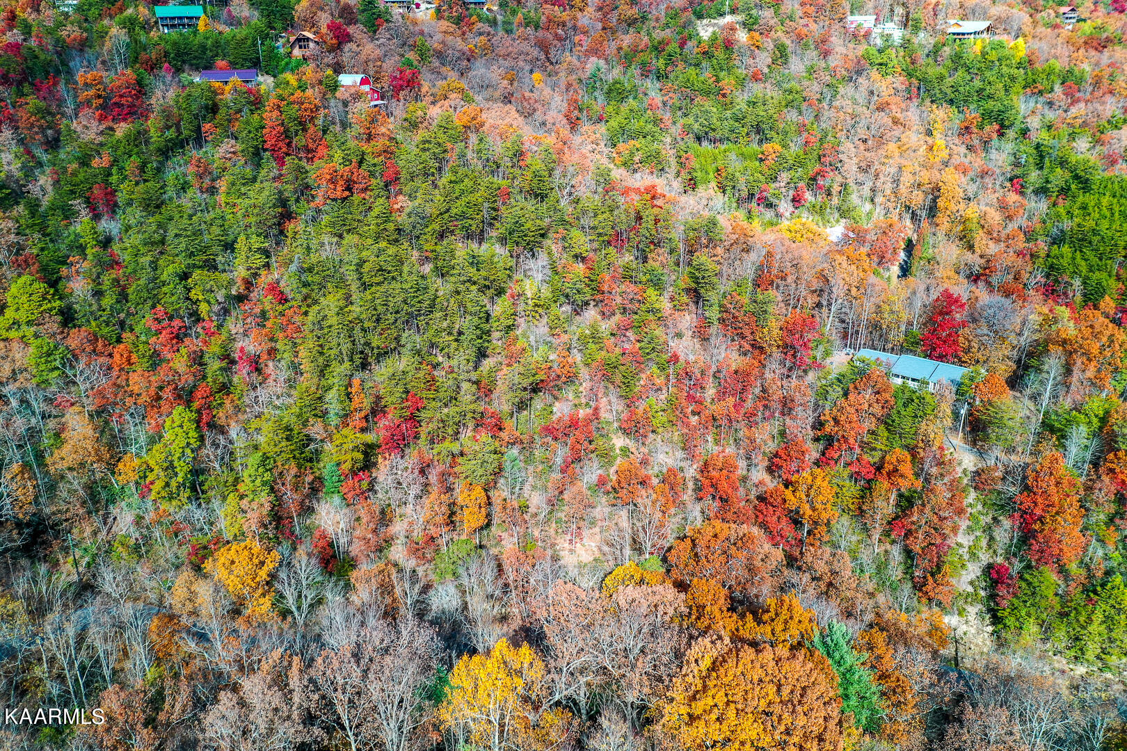 Hatcher Mtn Rd Road Sevierville, TN 37862 - Photo 5 of 18 Dsc_4538-2