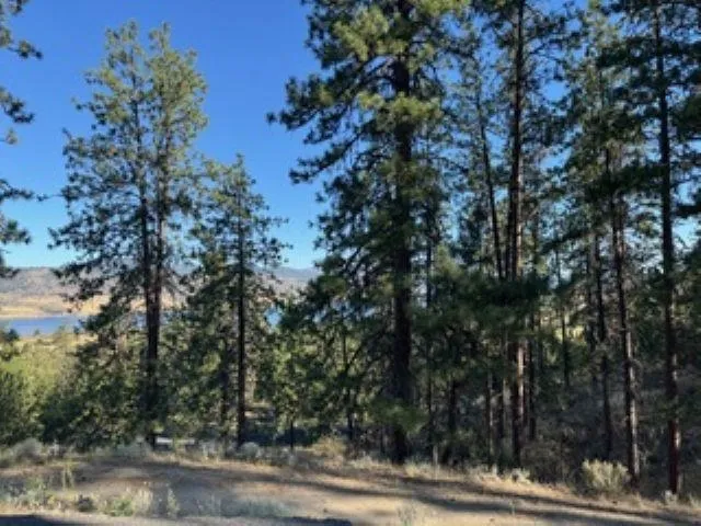 $265,000 | 510 Hunt Lane, Seven Bays, WA 99122