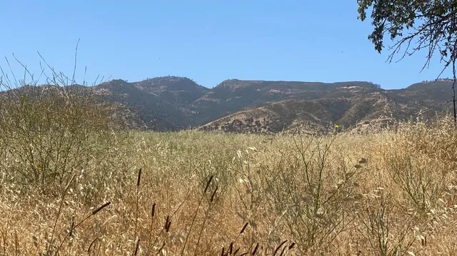 $380,000 | 0 State Highway, Brooks, CA 95606