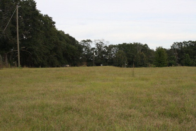 1494 Hopkins Road Ashford, AL 36312 - Photo 1 of 1