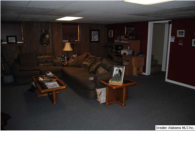 932 Graham Lane Mount Olive, AL 35117 - Photo 22 of 22