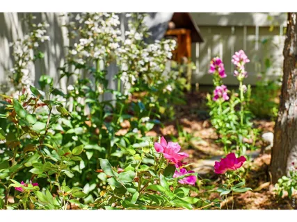 $925,000 | 2835 Shadow Lake Road, Lafayette, CO 80026