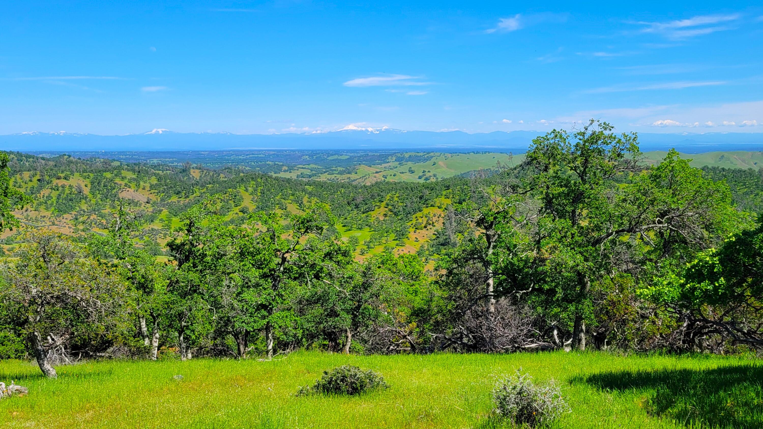 Lot 62 Nono Road Igo, CA 96047 - Photo 1 of 32 Property