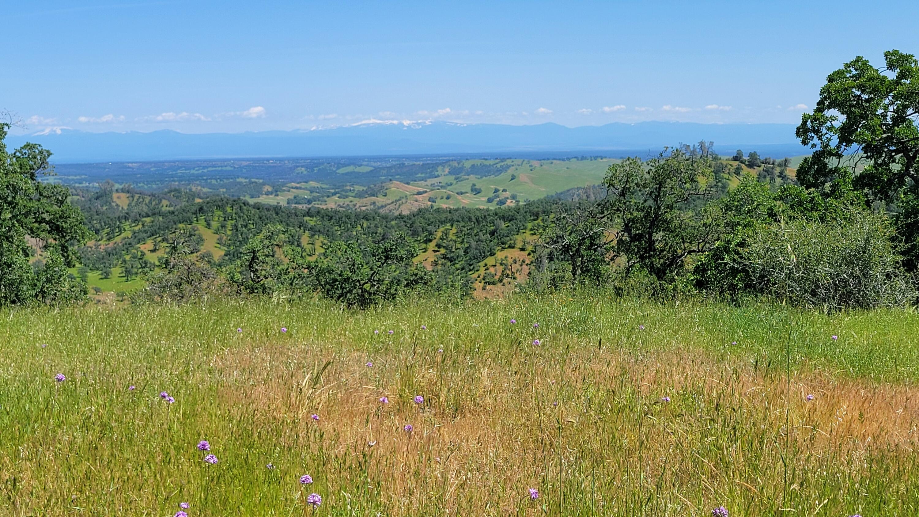 Lot 62 Nono Road Igo, CA 96047 - Photo 15 of 32 20240428_132935