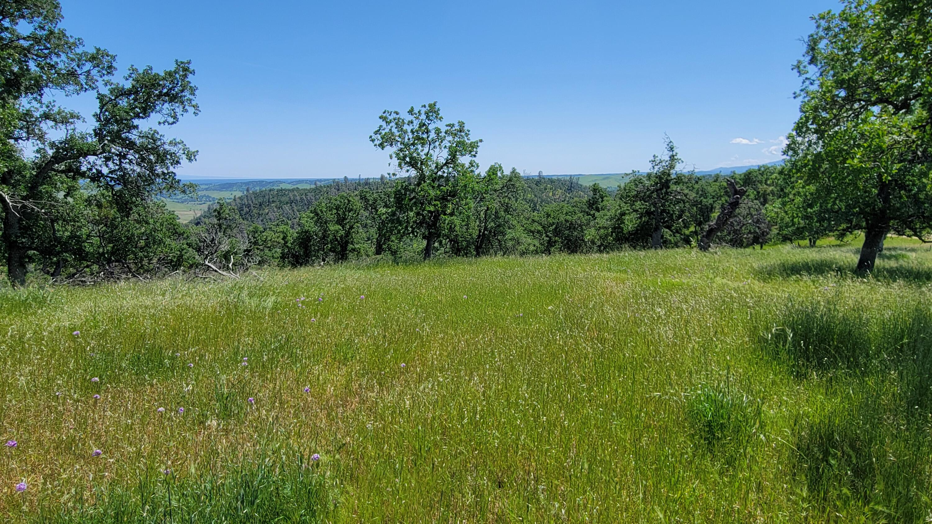 Lot 62 Nono Road Igo, CA 96047 - Photo 16 of 32 20240428_133033