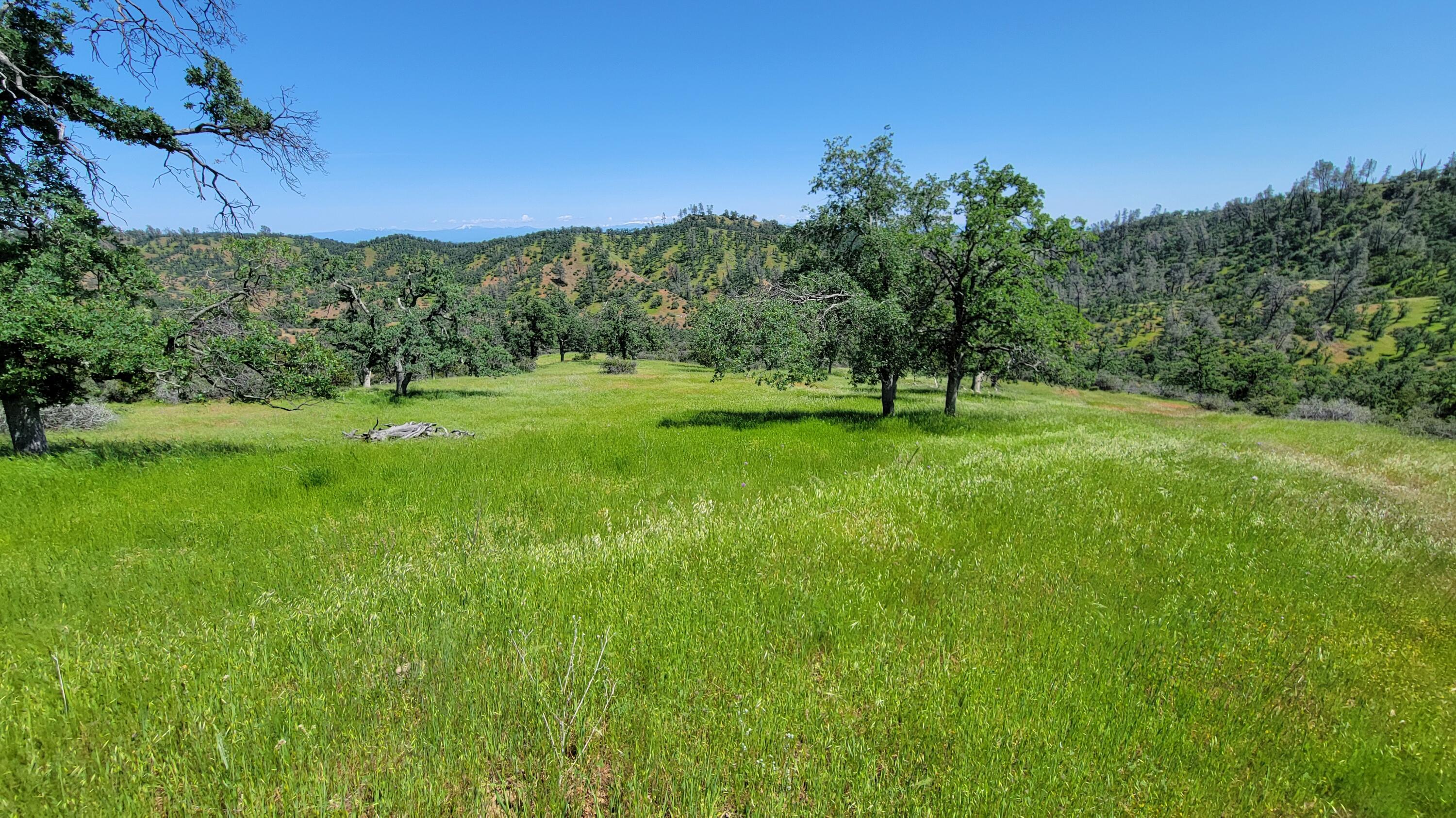 Lot 62 Nono Road Igo, CA 96047 - Photo 18 of 32 20240428_134811