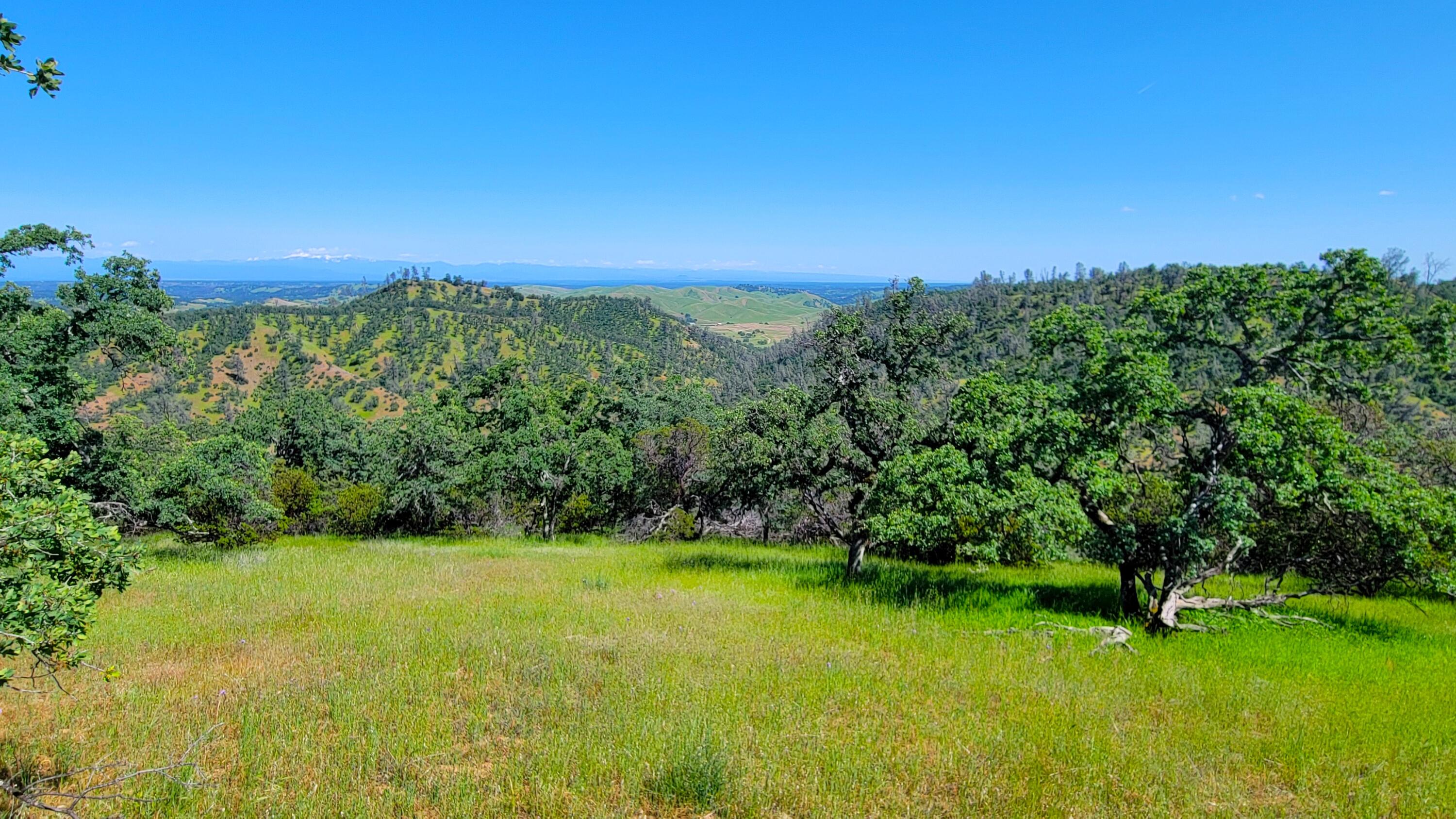 Lot 62 Nono Road Igo, CA 96047 - Photo 20 of 32 20240428_145942