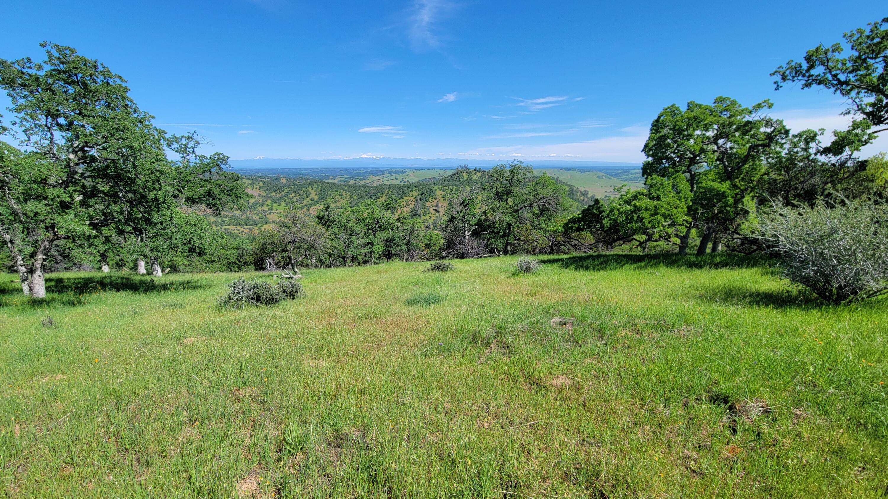 Lot 62 Nono Road Igo, CA 96047 - Photo 23 of 32 20240417_143901