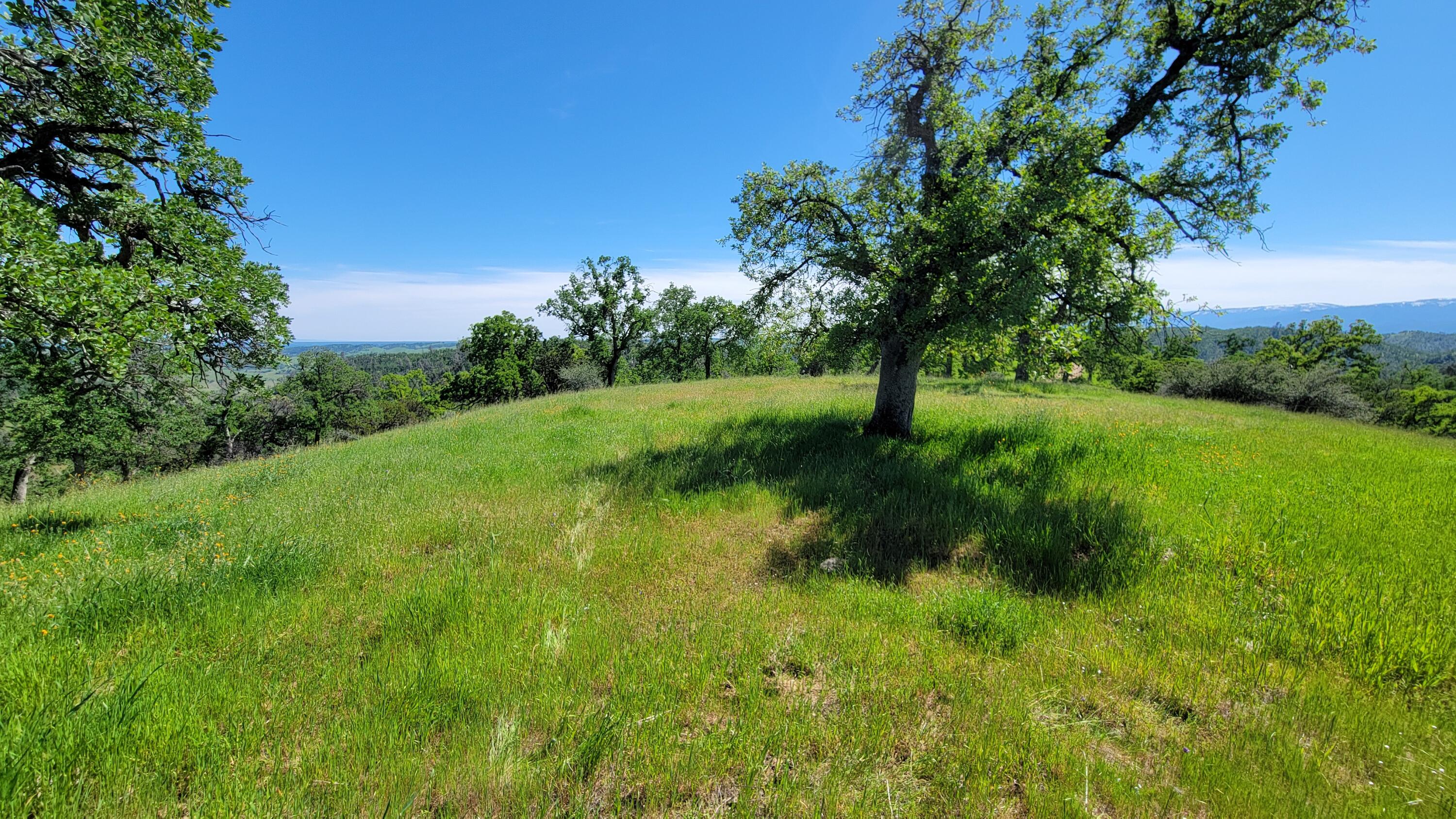 Lot 62 Nono Road Igo, CA 96047 - Photo 25 of 32 20240417_144118