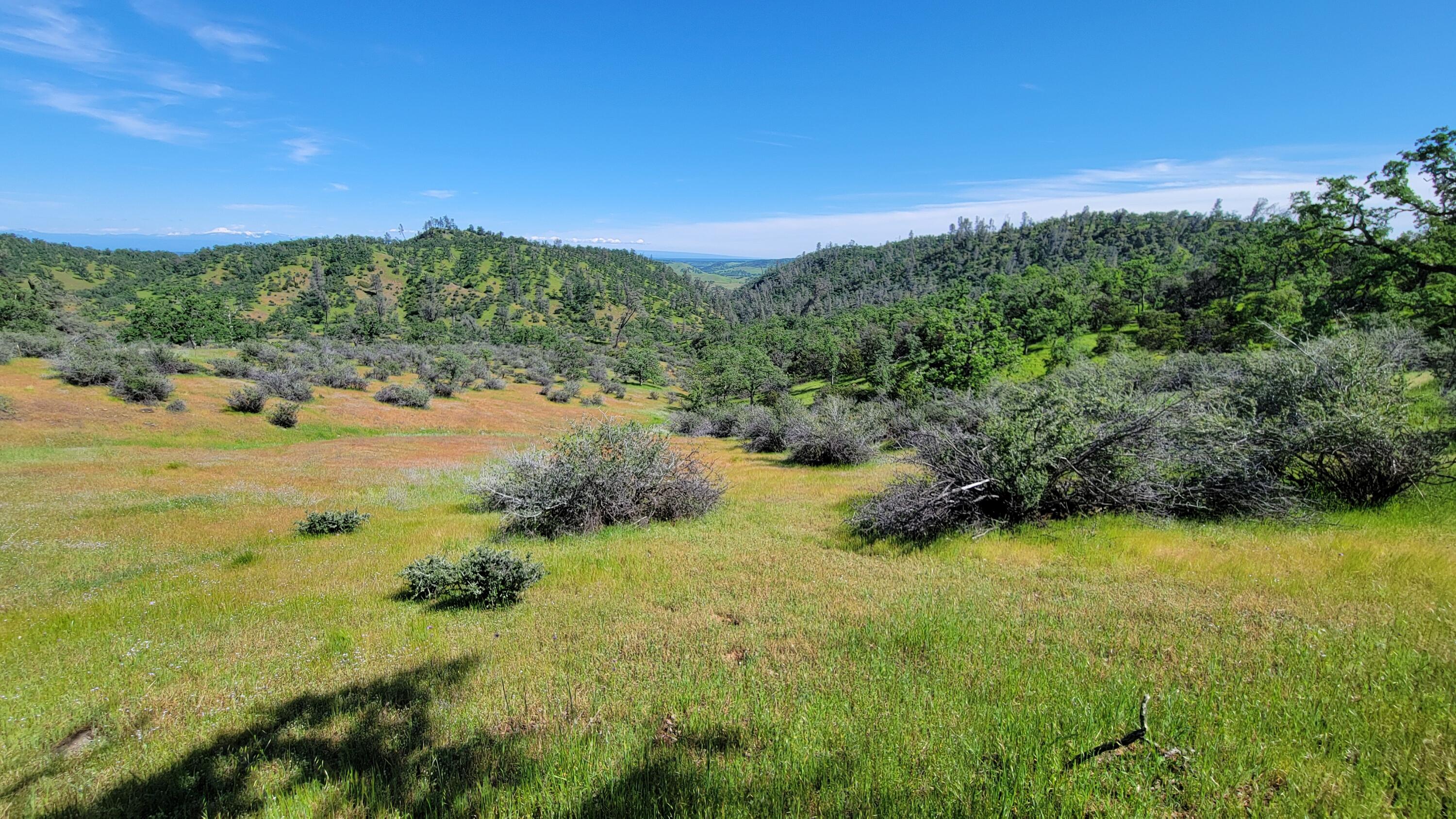 Lot 62 Nono Road Igo, CA 96047 - Photo 27 of 32 20240417_151359