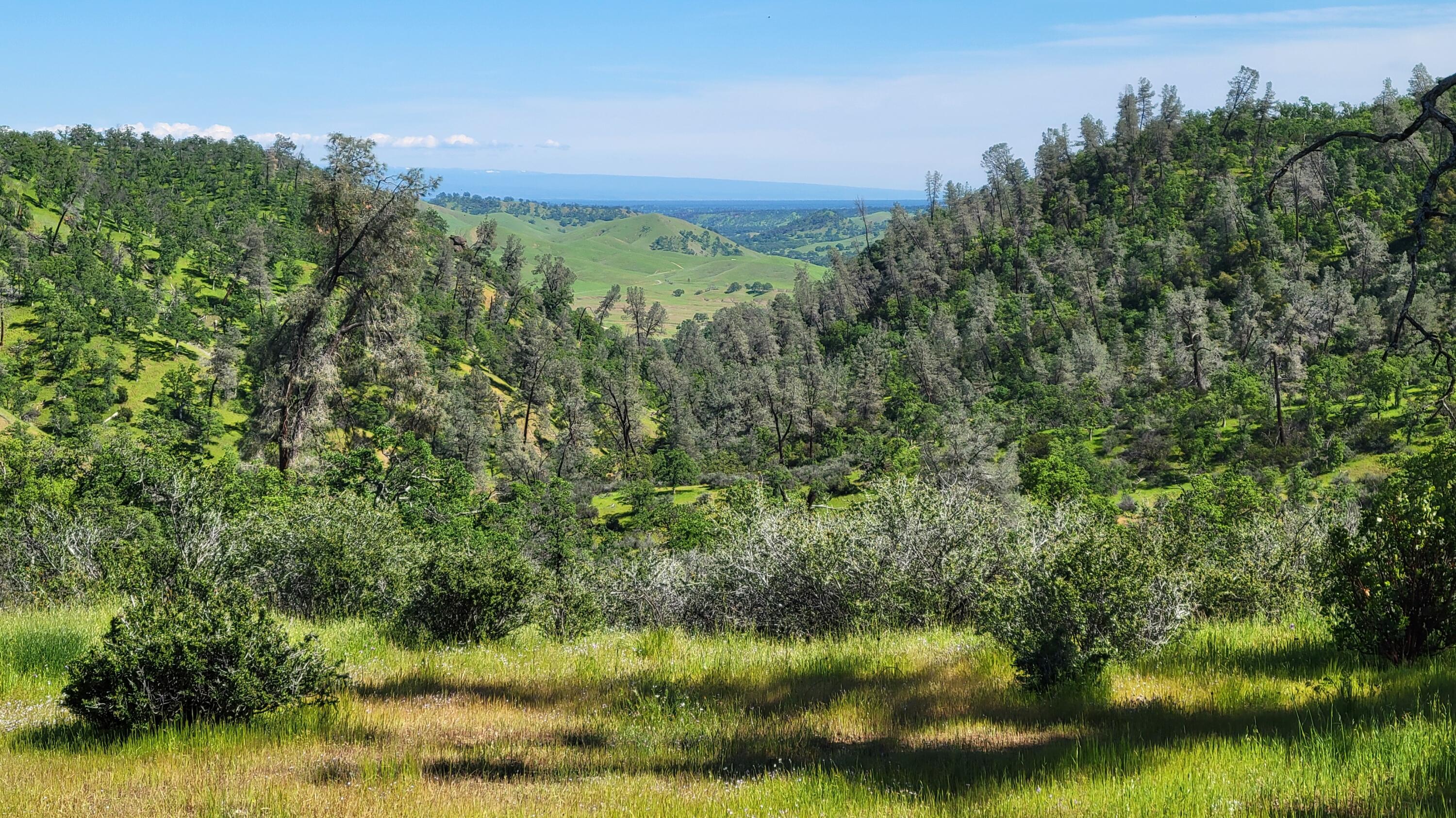 Lot 62 Nono Road Igo, CA 96047 - Photo 30 of 32 20240417_153859