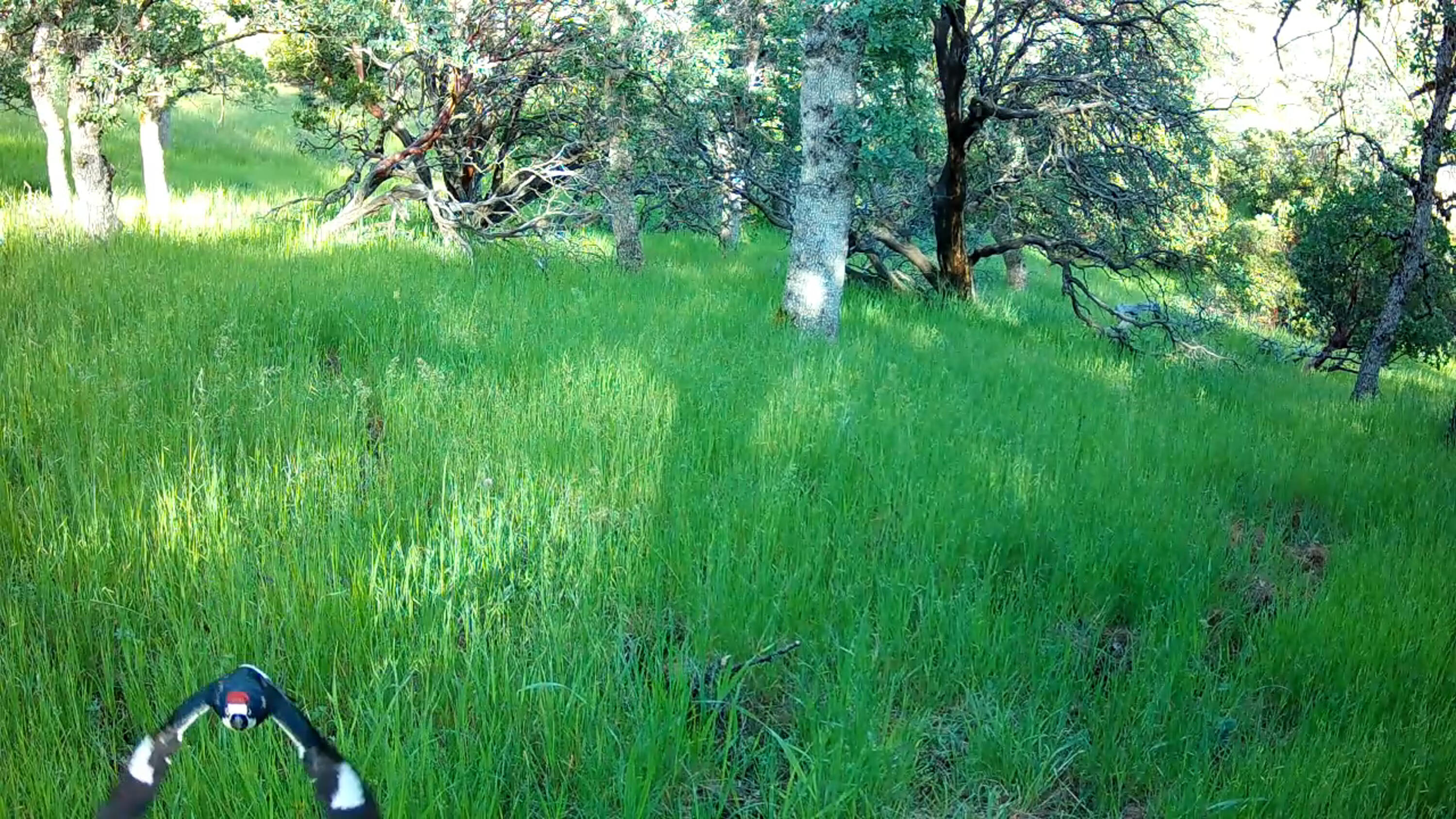 Lot 62 Nono Road Igo, CA 96047 - Photo 7 of 32 0430(6)