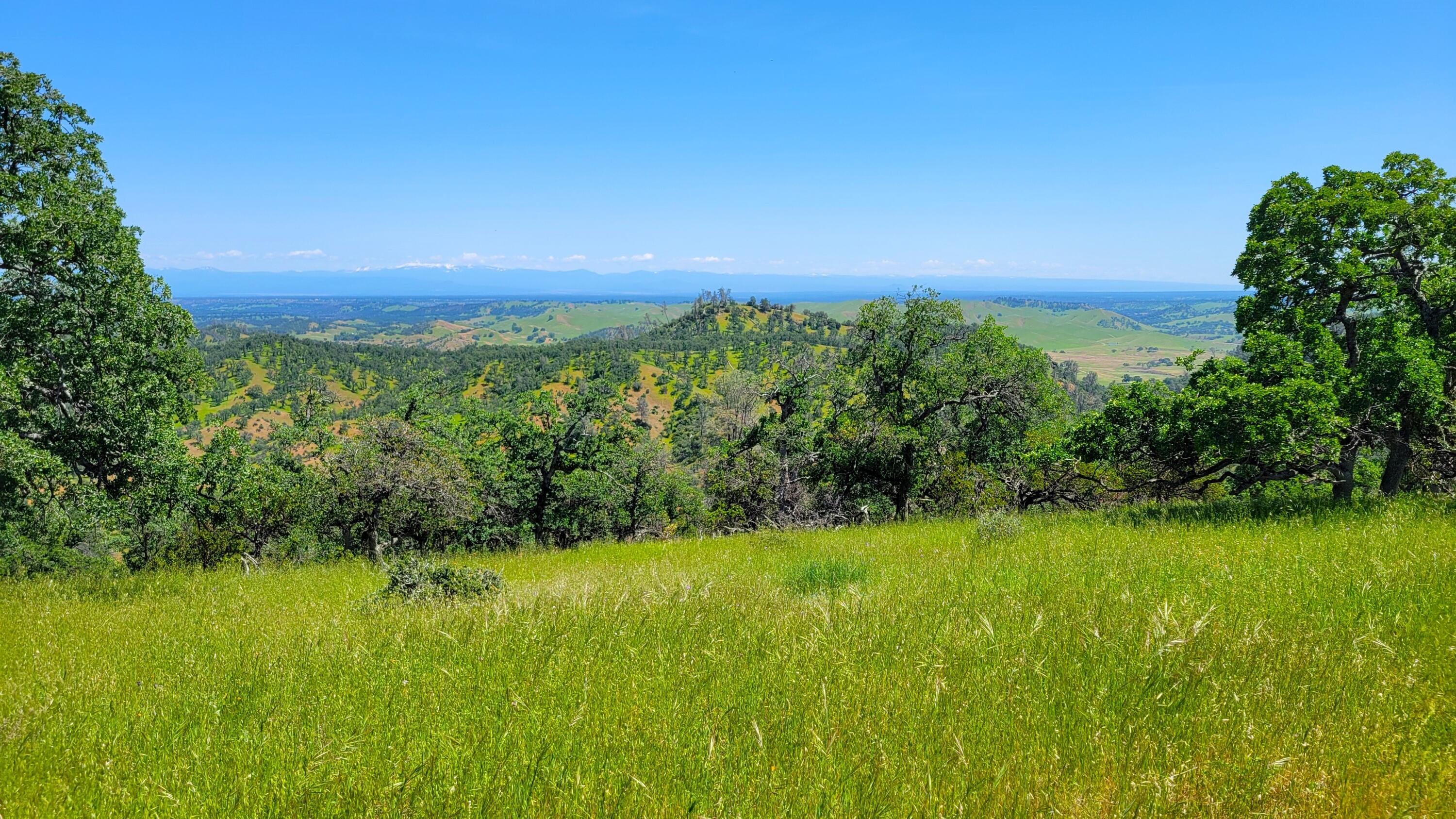 Lot 62 Nono Road Igo, CA 96047 - Photo 10 of 32 20240428_132437