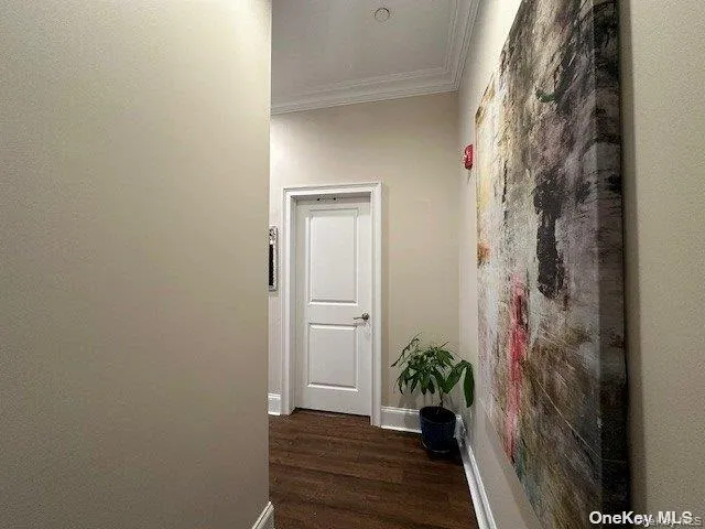 a view of a hallway with wooden floor and a potted plant