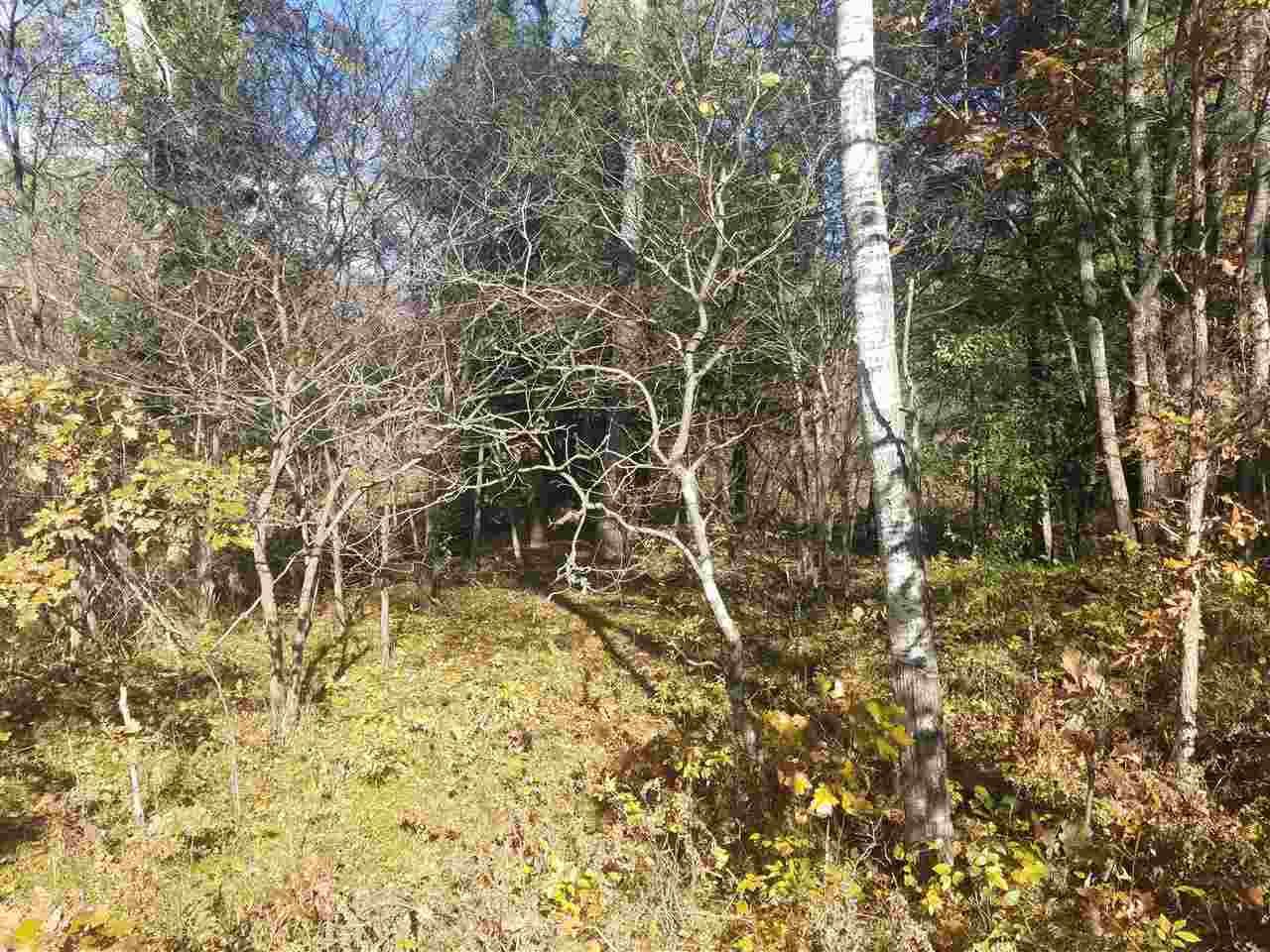6077 North High Bridge Road Brethren, MI 49619 - Photo 30 of 34 1854463-29.JPG