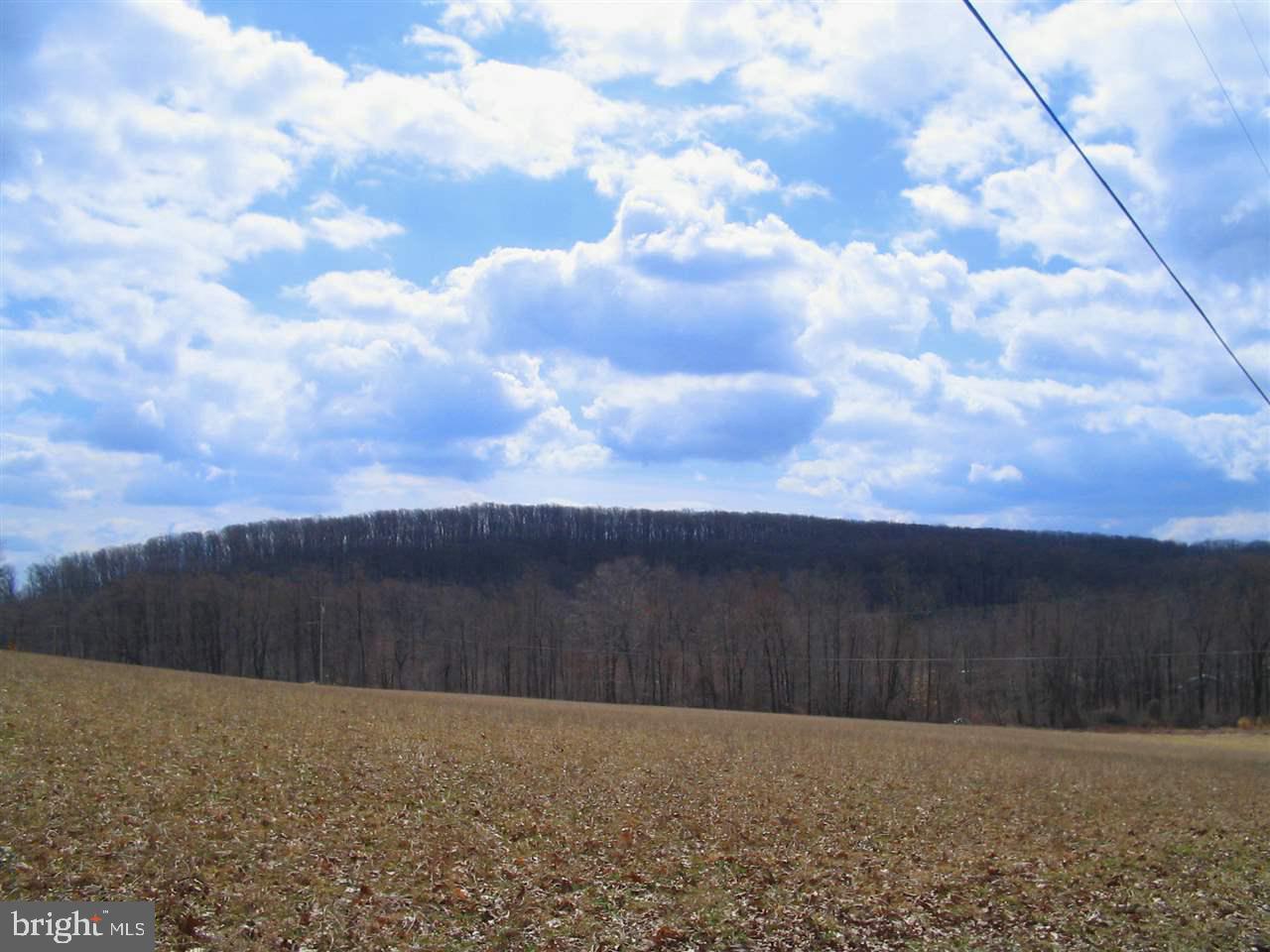 0 Spring Rd Spring Grove Pa Spring Grove, PA 17362 - Photo 1 of 5