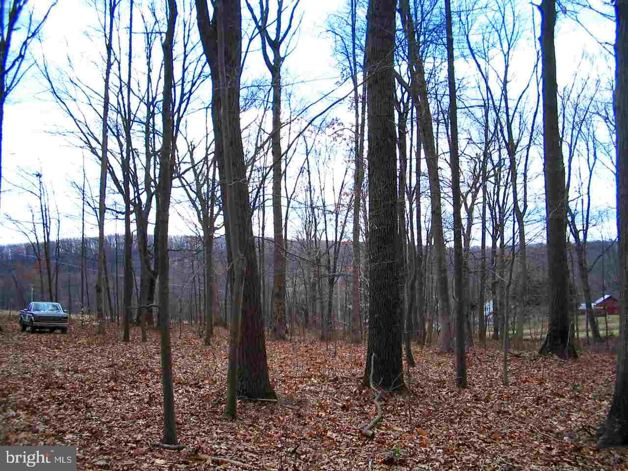 0 Spring Rd Spring Grove Pa Spring Grove, PA 17362 - Photo 3 of 5
